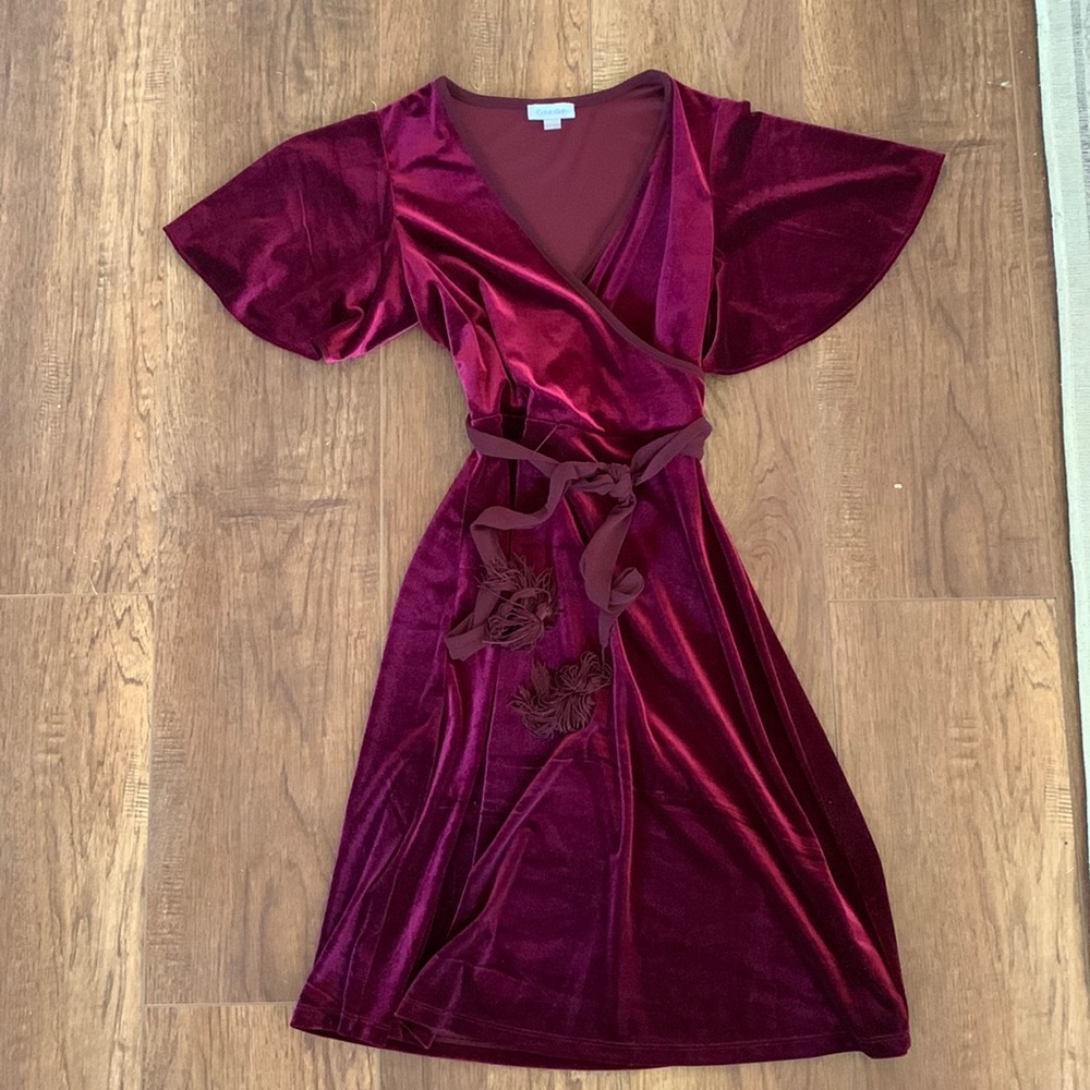 Maroon Velvet Calvin Klein Dress